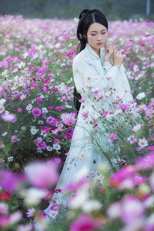 邻家阿姨高清免费观看电视剧大全